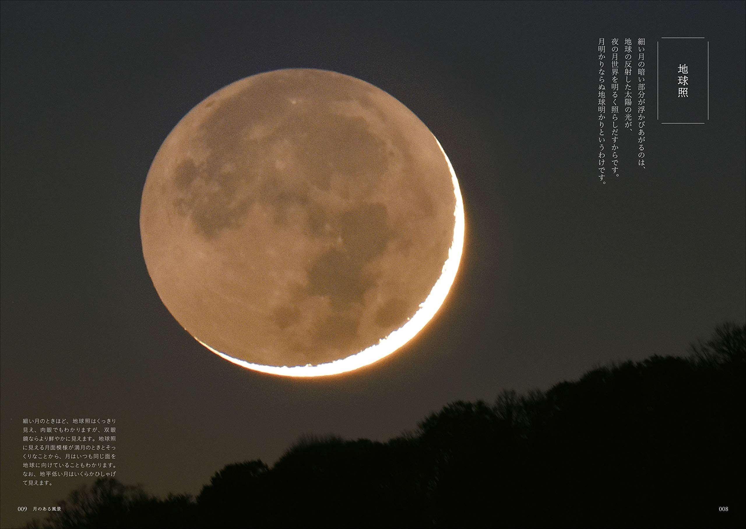 新版 月と暮らす 月を知り 月のリズムで 旭 藤井 本 通販 Amazon