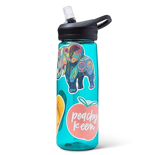 Cute VSCO Stickers For Water Bottle/Hydro Flask/Tumblr/Computer