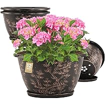 フラワー・ガーデニング BOTANIZE Plastic Pot Bowl SP 3set 10/9/8 inch Plant Pots, 3 Pack Plastic Flower Pots Modern Flower