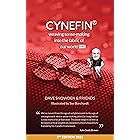 Cynefin - Weaving Sense-Making into the Fabric of Our World ED02