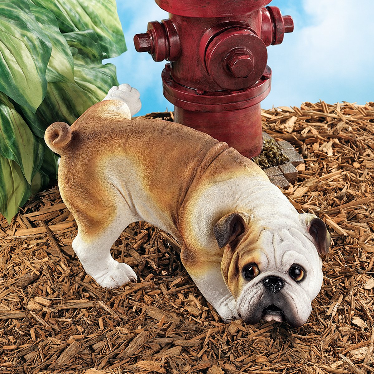 Dog Fire Hydrant The Smart Dog Guide