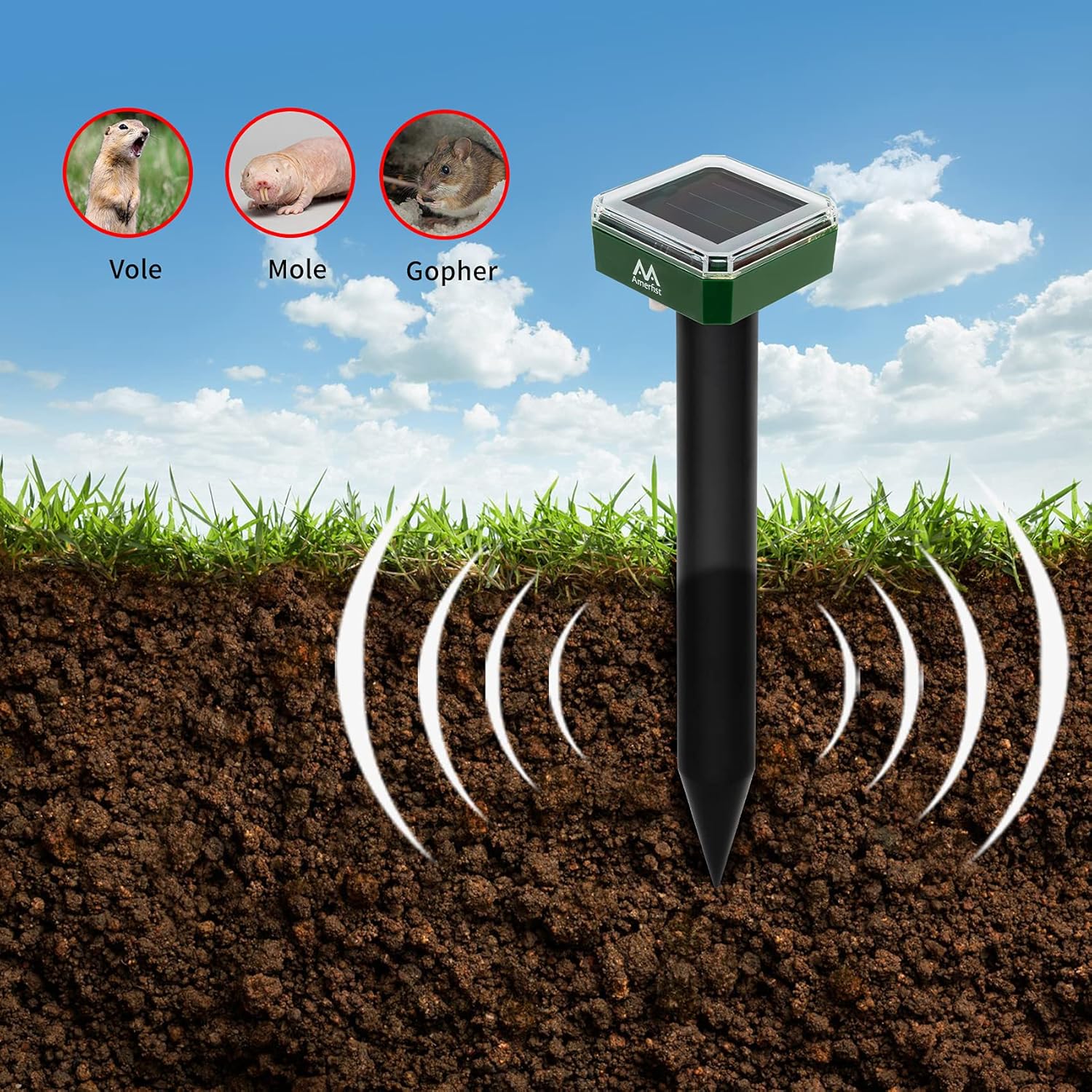 AMERFIST Mole Repellent Solar Powered – Solar Animal Repeller Stakes for Gopher, Moles, Groundhog – IP44 Waterproof Solar Mole Repellent Stakes for Farm, Garden, Lawn (4 Pack) : Garden & Outdoor