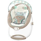 ingenuity inlighten bouncer