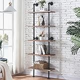 HOMBAZAAR Industrial Pipe Bookshelf,5 Tier Pipe