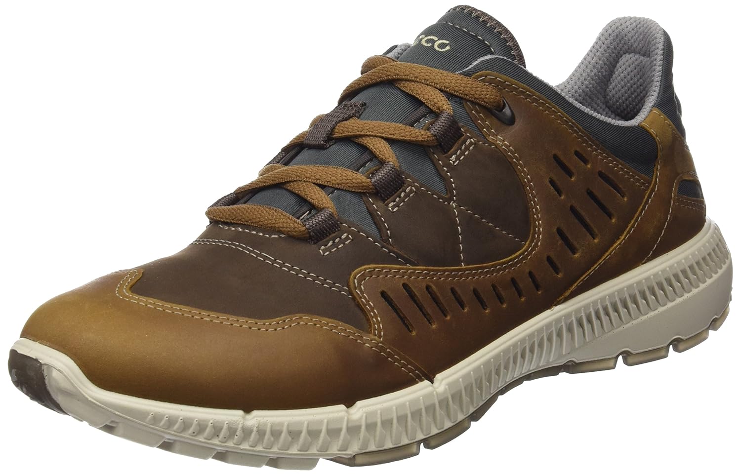 ecco terrawalk hiking shoes