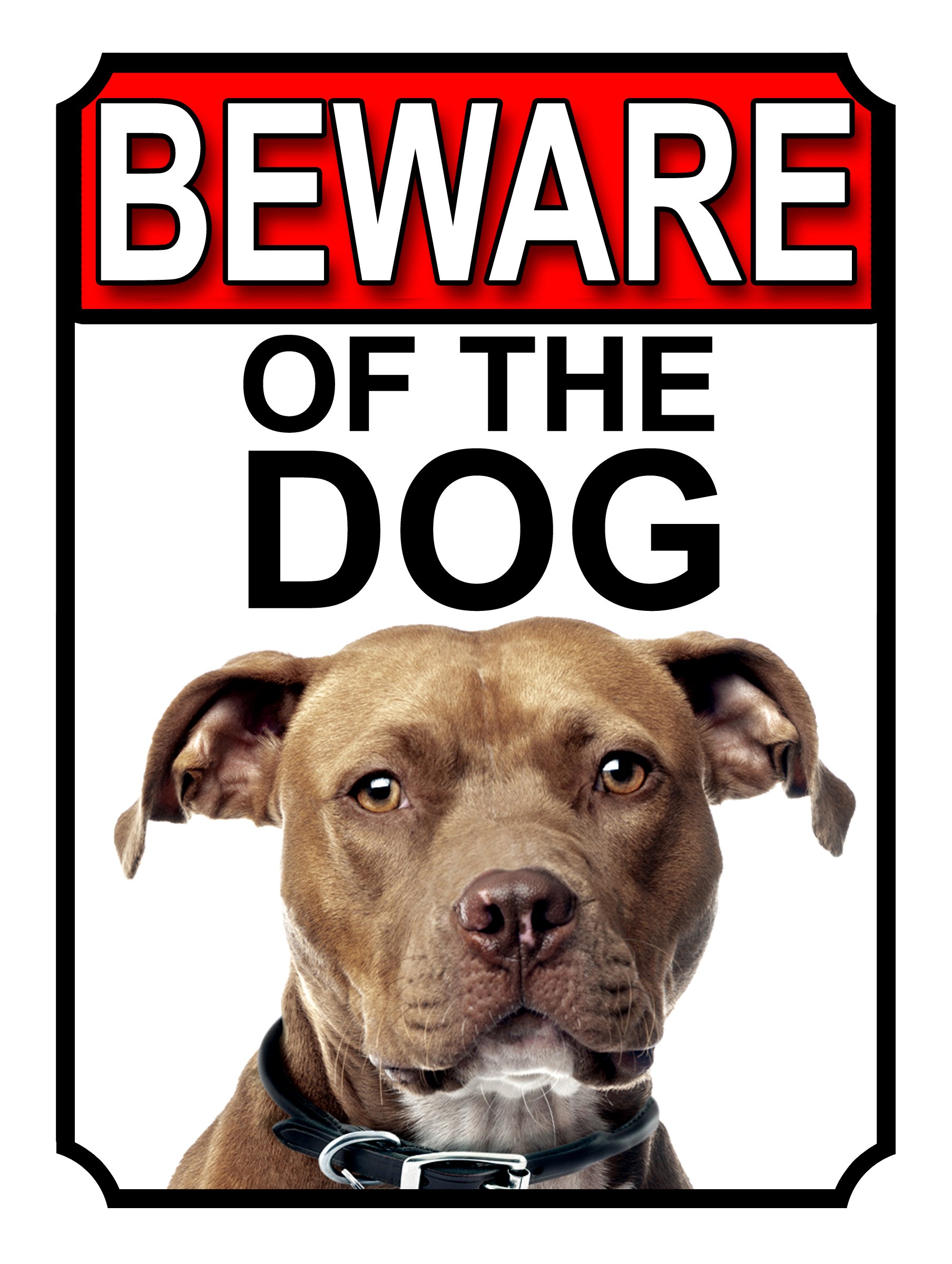 BEWARE OF THE DOG METAL GATE SIGN AMERICAN STAFFORDSHIRE 200MM X 150MM (1105H1)