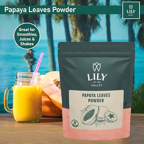 LILY OF THE VALLEY GREEN PAPAYA POWDER – NATURALLY RICH IN PAPAYA ENZYM – PAPAYA EXTRACTS FOR SMOOTHIES & SHAKES – VEGAN & GLUTEN-FREE – PACKED IN RESEALABLE POUCH (16OZ, 453G)