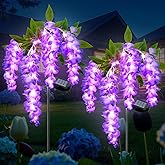 Ninonly Solar Garden Lights Outdoor, 2 Pack Solar Pathway Lights, 2 Lighting Modes Solar Wisteria Flowers Lights Outdoor Wate