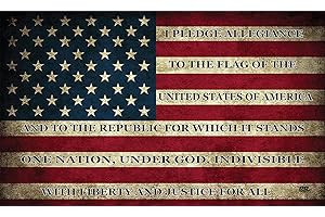 Rogue River Tactical USA Flag Sticker Bumper Car Decal Gift Patriotic American Worn United States Pledge of Allegiance (3x5 Inch)