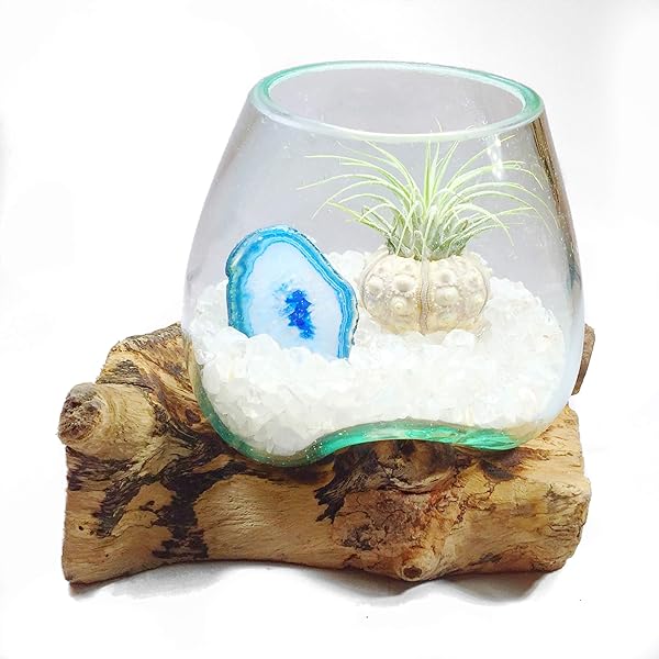 Floating Jellyfish Terrarium Healing Stones, Peridot Joy, Happiness