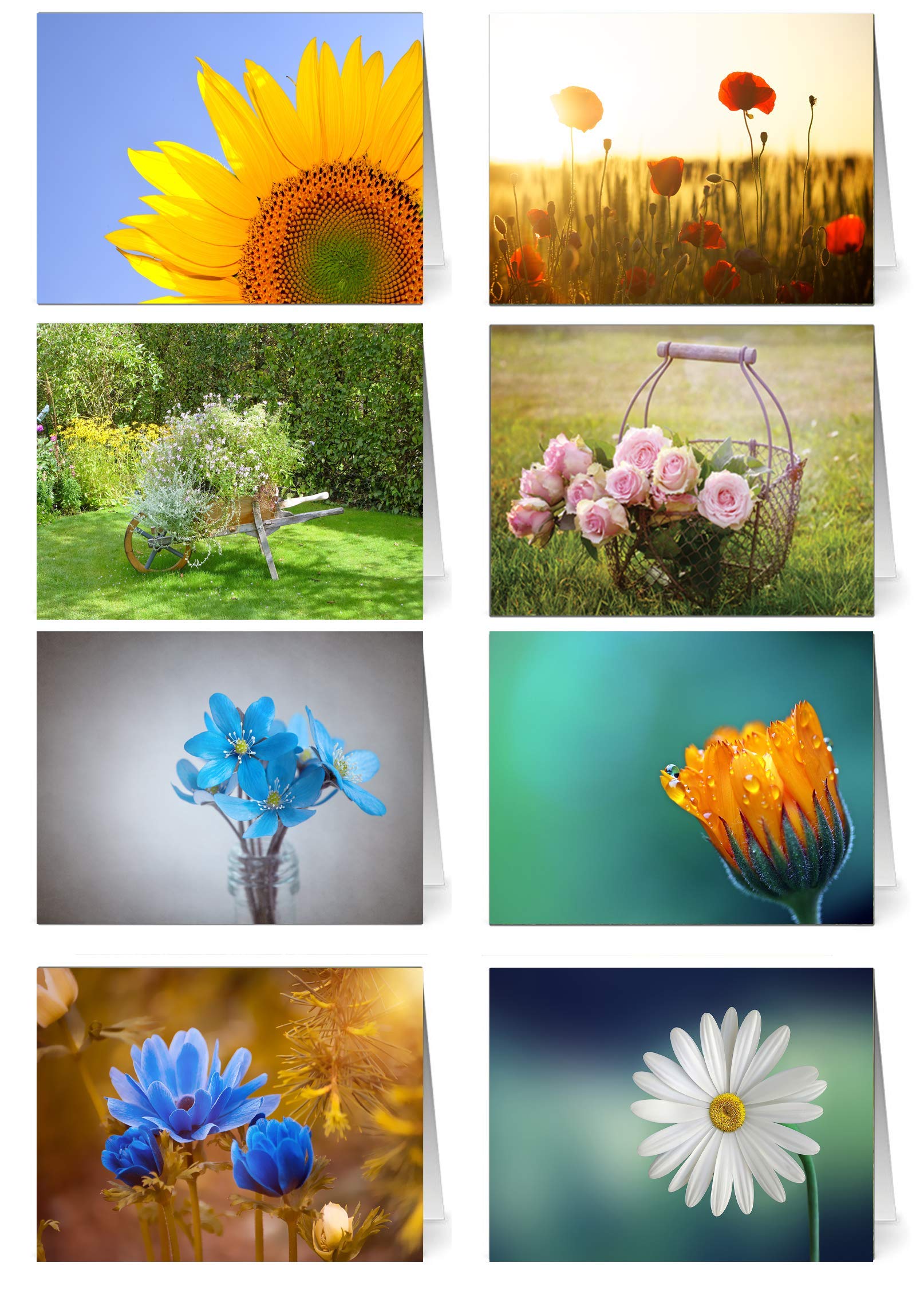 48 greeting cards with 48 envelopes flowers and garden.