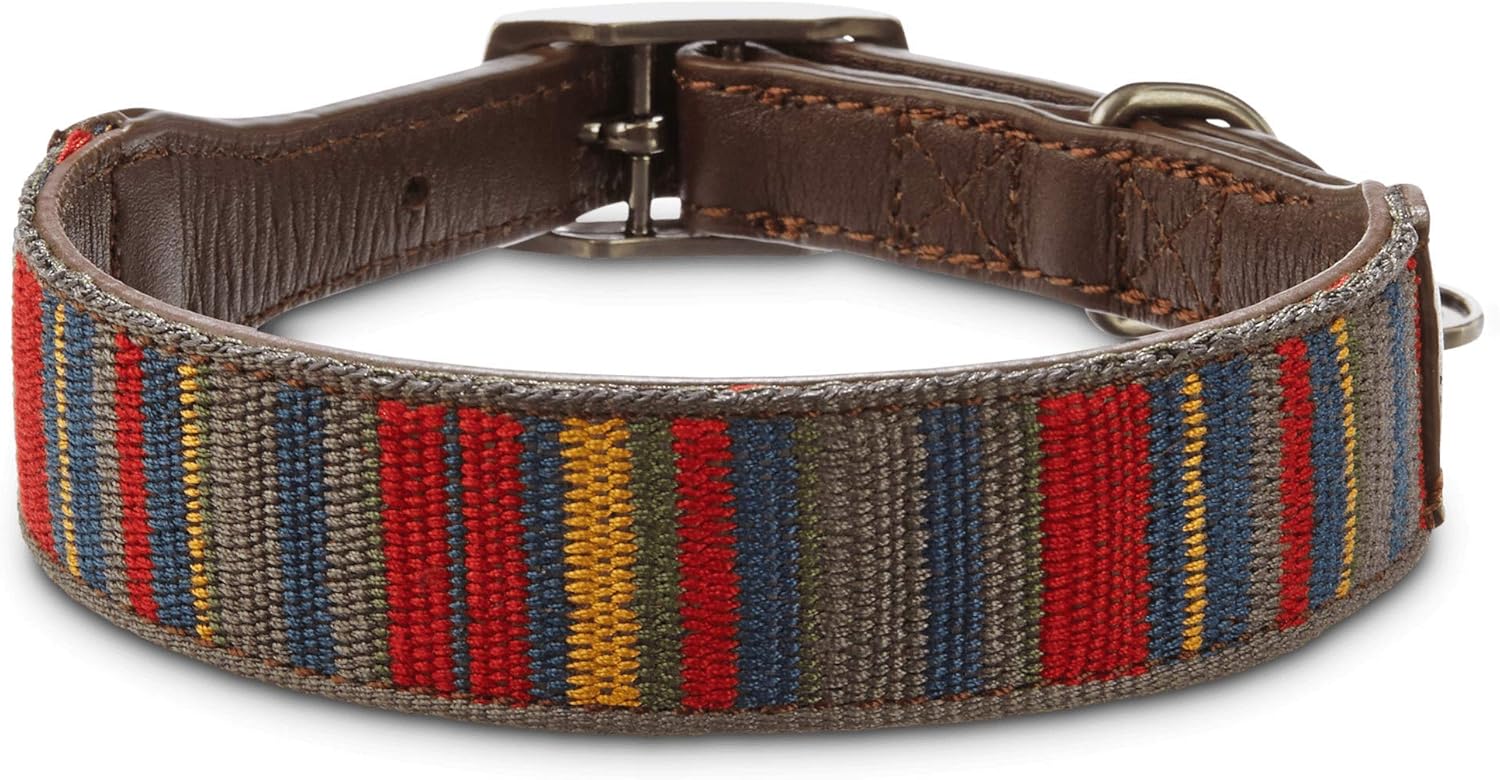 bond and co dog collar