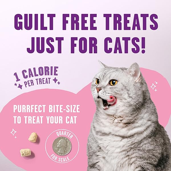 STELLA & CHEWY’S MEOWFULLS FREEZE DRIED CAT TREATS – WHITEFISH & SALMON RECIPE – RAW PROTEIN WITH PROBIOTICS & SALMON OIL – 1 CALORIE PER TREAT – 1.5 OZ