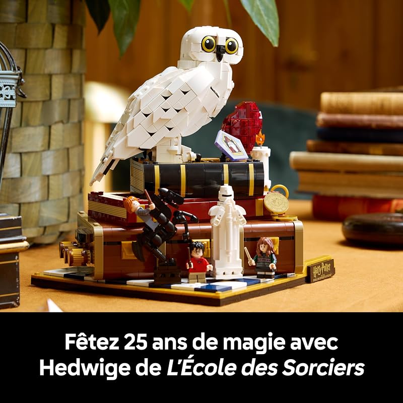 Harry Potter L’école des sorciers – Édition Collector 76466