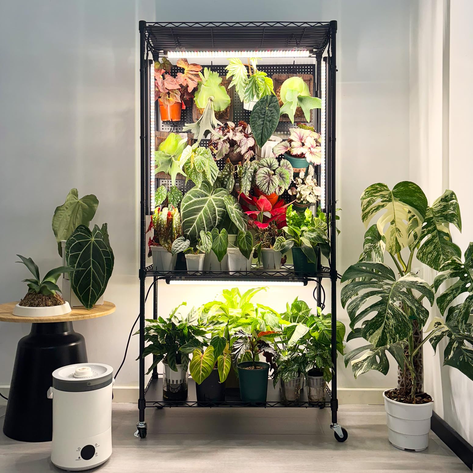 Bstrip Plant Shelf with Grow Light & Pegboard, Metal Plant Stand with Adjustable Rack and Wheels, 4 x 24W Full Spectrum Grow Light Strip for Indoor Plants, Foliage Plants, Seedling, 29.5"x13.8"x59" Image