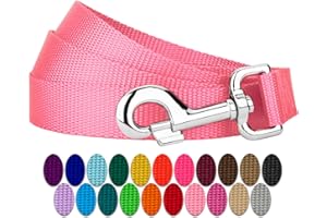 COUNTRY BROOK DESIGN Country Brook Petz 1" Wide Heavy-Duty Nylon Leash for Dogs - Traditional Style Durable Leash with Easy-to-Use Snap - Made in The USA, Pink, 6 Foot