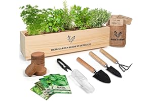 Meekear 5 Herb Seeds Garden Starter Kit with Complete Planting Kit & Wooden Flower Box, Growing into Basil, Parsley, Rosemary, Thyme, Mint for Kitchen Windowsill Herb Garden DIY