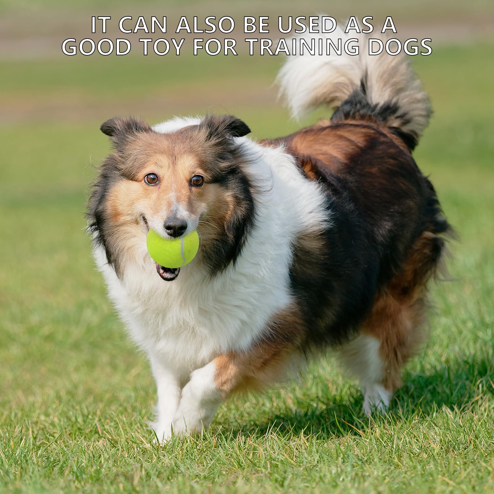 SHYUJAJIE Tennis Balls, 20 Pack Training Tennis Balls,High Elasticity Practice Tennis for Beginner, Exercise Playing Balls for Pet Dog