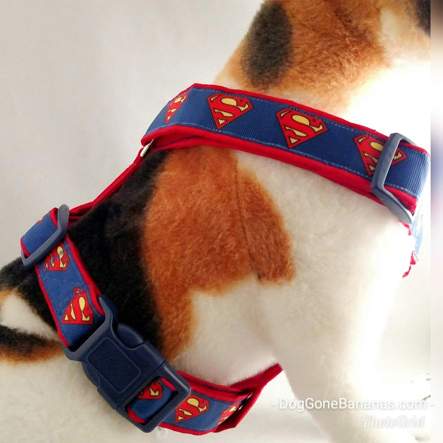 superman dog harness