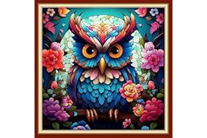 Joyhoor Cross Stitch Kits for Beginners Stamped Cross-Stitch Supplies Needlework preprint Embroidery Kits for Adults DIY Needlepoint Kits Embroidery Patterns 11CT-Colorful Owl 18.x18 inch