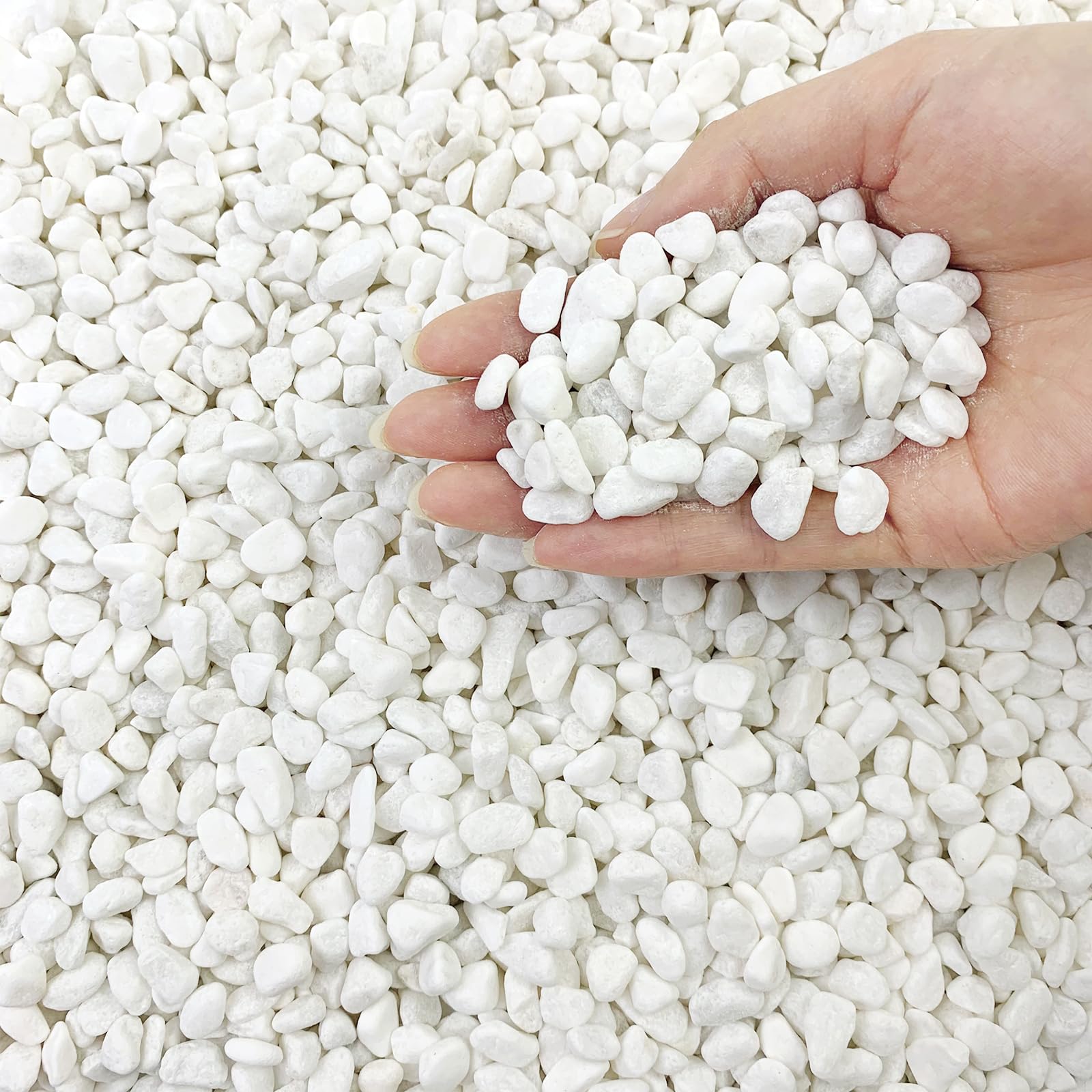 FANTIAN 10 lbs White Stones for Garden, 6-9 mm Pea Gravel. Decorative White Pebbles for Plants Pots, Aquarium, Vase, Succulents, Terrariums and Outdoor Yard Rock
