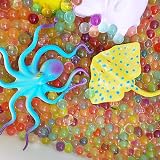 Nabance 18Pcs Sea Animal Toys Bath Pool Ocean Educational Learning Colors view 4