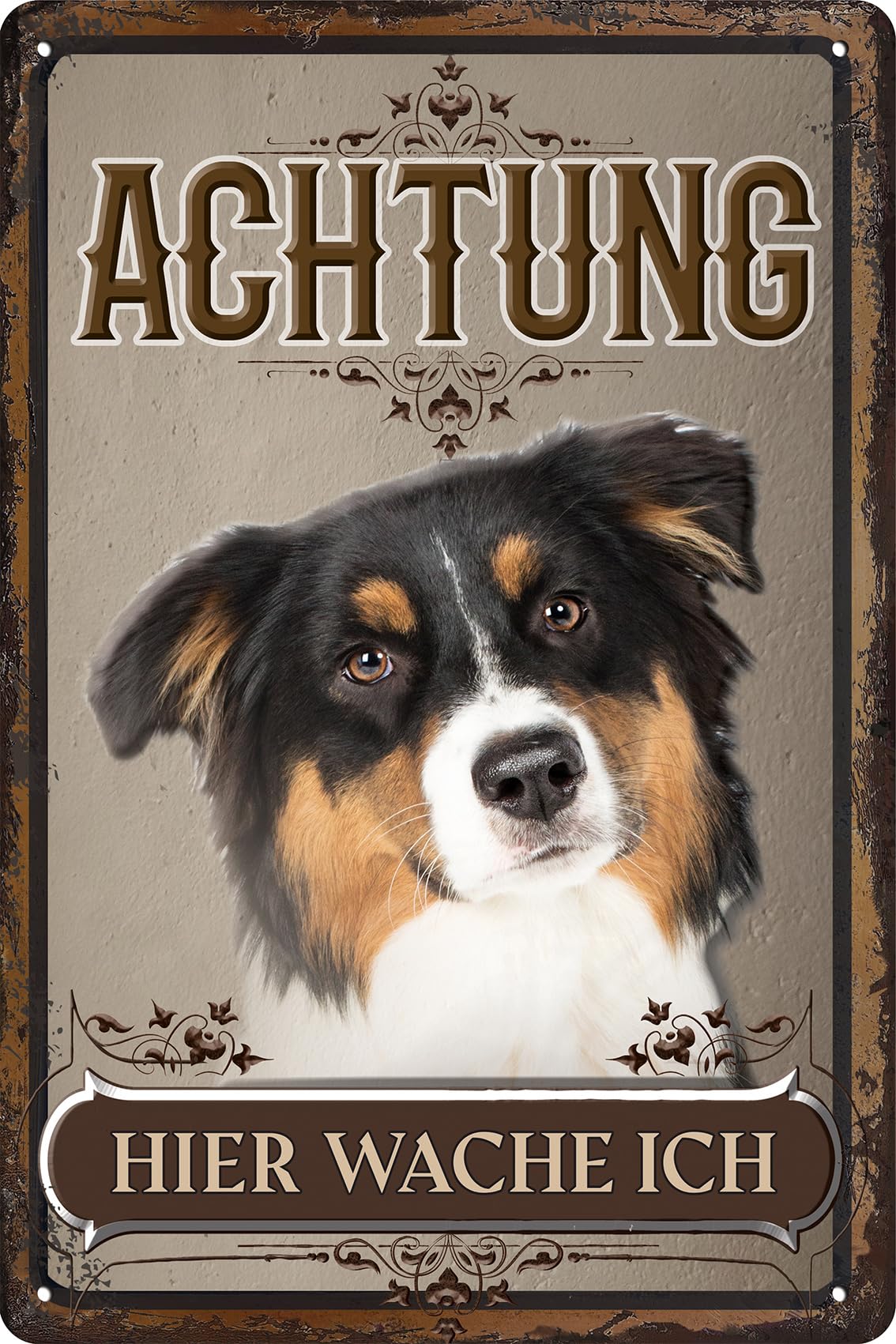 Weatherproof, sturdy dog sign for outdoor use - warning sign: Achtung hier wache ich! - aluminium dibond sign, weatherproof 30 x 20 cm (Australian Shepherd)