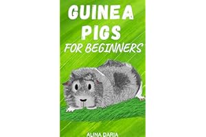 Guinea Pigs for Beginners : Species Appropriate Care and Husbandry of the Little Super Poopers (Guidebook series on species a