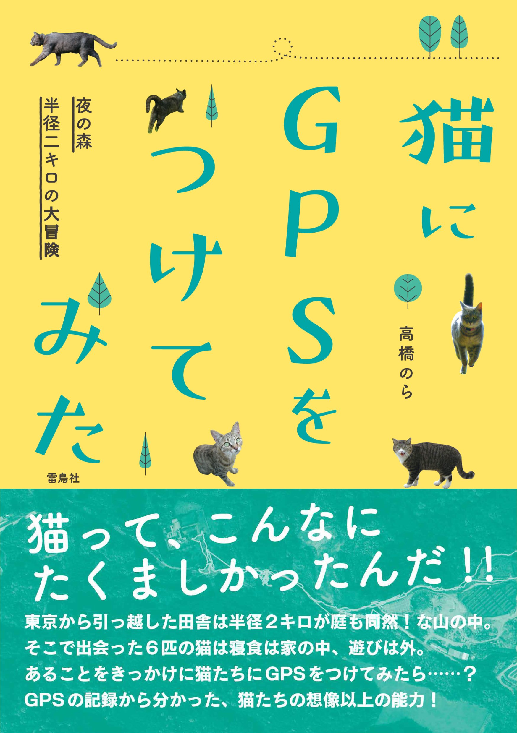 猫にgpsをつけてみた 夜の森 半径二キロの大冒険 高橋のら 本 通販 Amazon