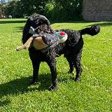Petface Squeaky Pheasant Plush Dog Toy view 5