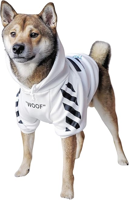 medium size dog clothes