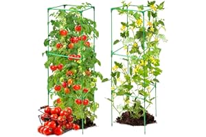 warmfarm Pack 2 Tomato Trellis Plant Stand Made by Fiberglass Pole,47 Inches Heavy Duty Tomato Cages for Garden,Reusable Plant Support for Vegetable Garden, Vegetables, and Flowers
