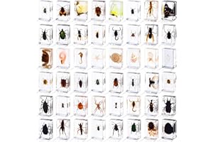 WHISTENFLA 48 Styles Insect in Resin Specimen, Bugs Collection Paperweights Animal Specimen for Kids Bug Preserved in Resin for Scientific Education Office Desk Christmas Display Supplies