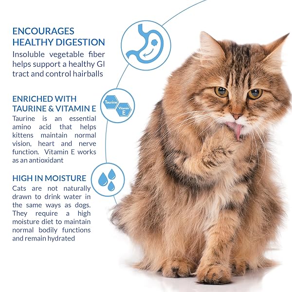 INABA CHURU HAIRBALL CONTROL, FUNCTIONAL, CREAMY LICKABLE PURÉE CAT TREAT WITH TAURINE & VITAMIN E, 0.5 OUNCES EACH, 24 TUBES (4 PER PACK), CHICKEN RECIPE