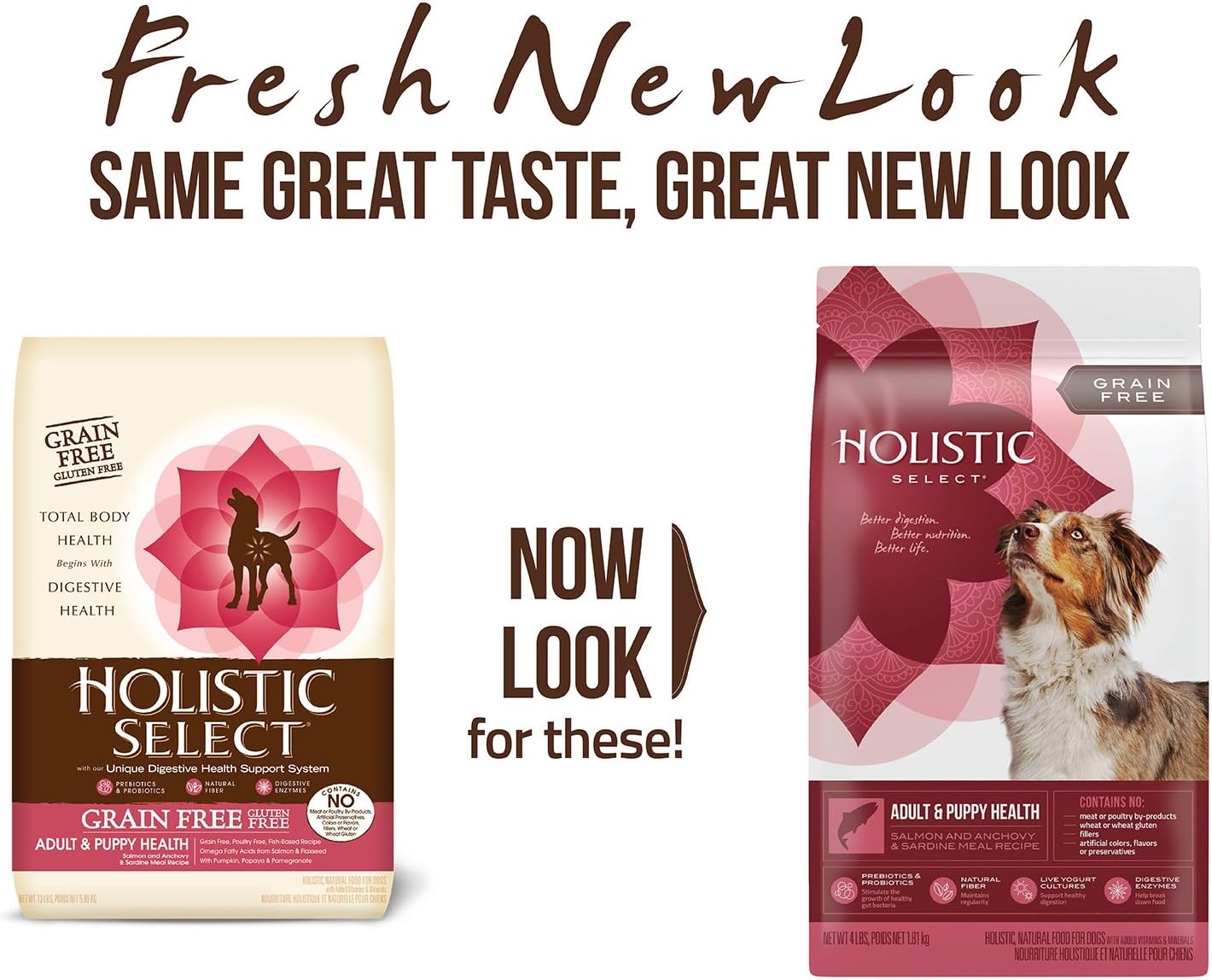 holistic grain free dog food