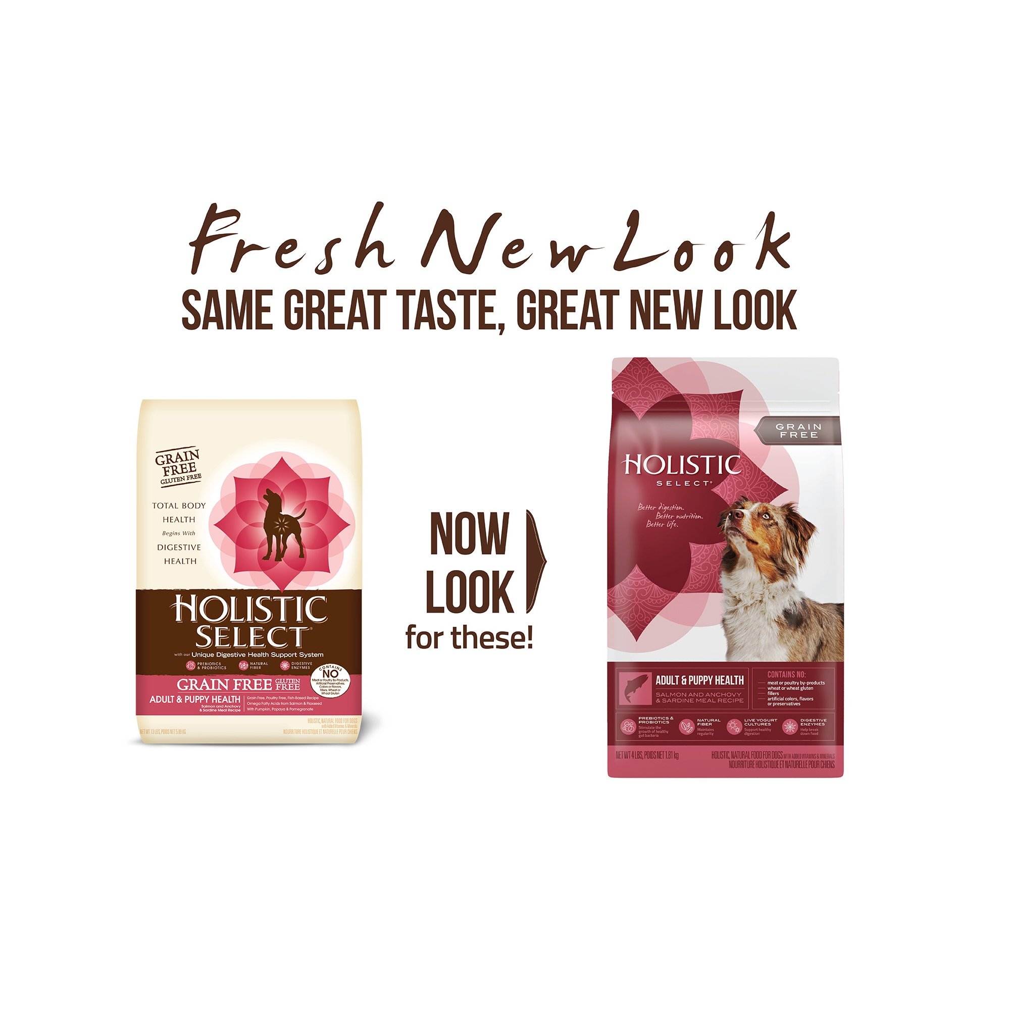 Holistic Select Natural Dry Dog Food Grain Free Adult Puppy Salmon