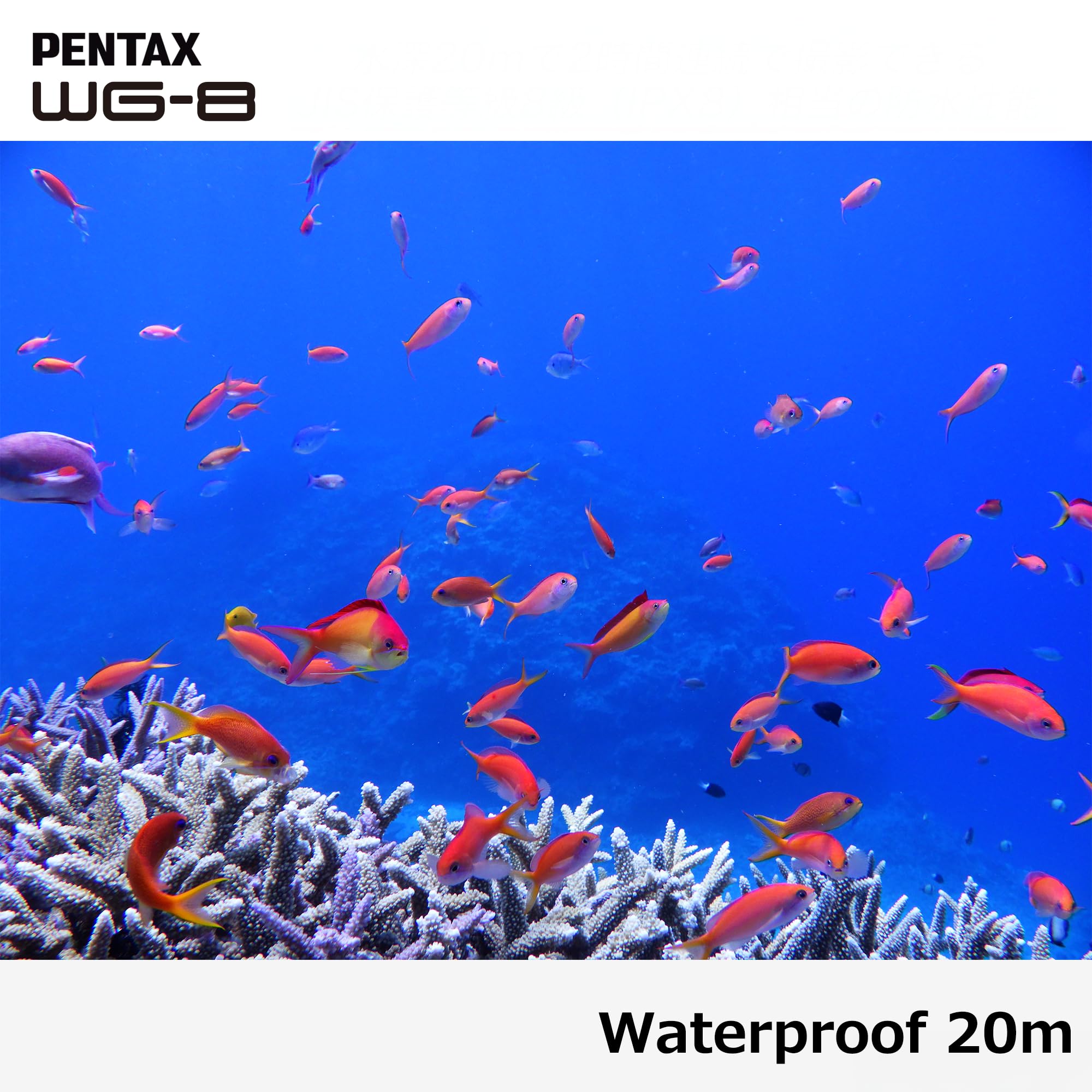 PENTAX Compact étanche WG-8 Noir 3