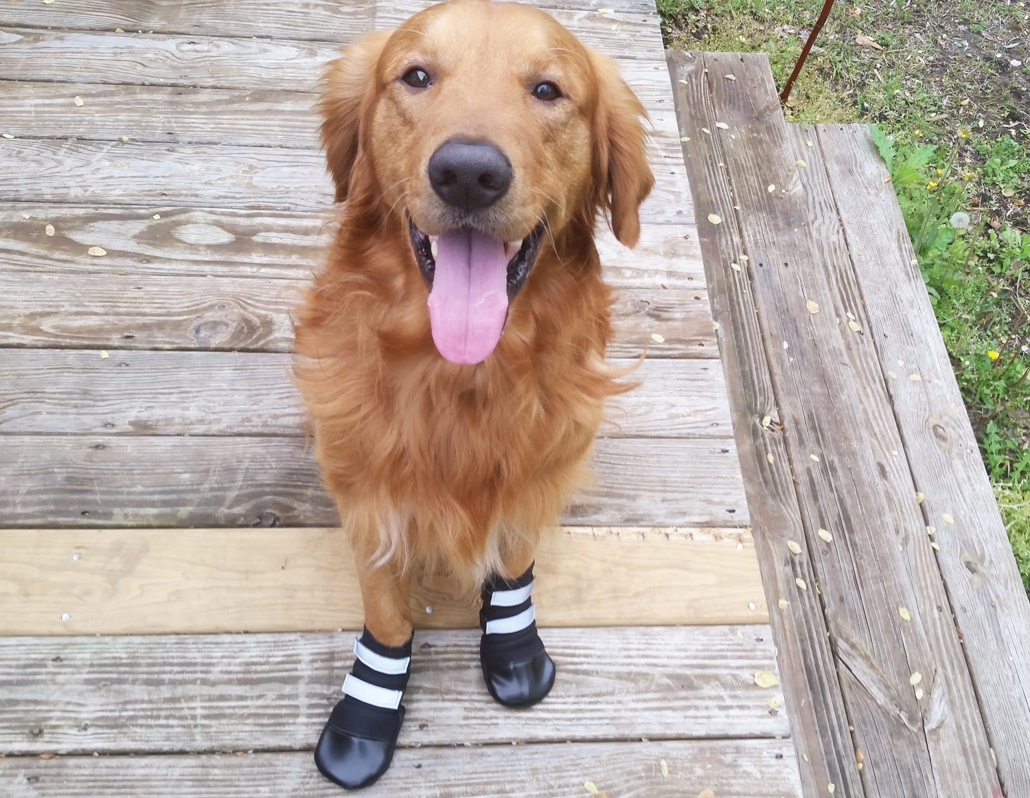 Bark Brite All Weather Neoprene Paw Protector Dog Boots with Reflective