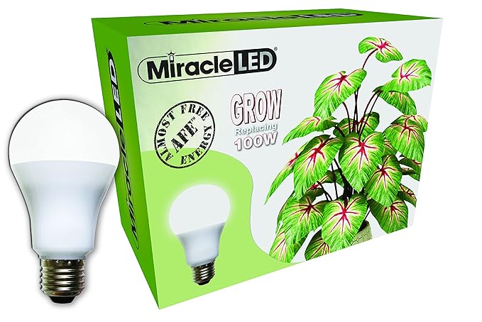 LED Grow Light Bulbs | indoor plants | led | led light bulbs | grow light bulbs | plants 