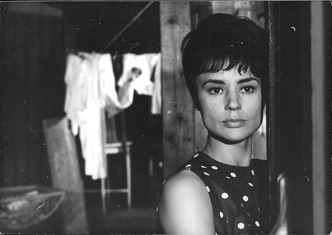 15+ Populer Images of Harriet Andersson