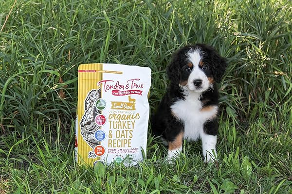 SMALL BREED ORGANIC TURKEY & OATS