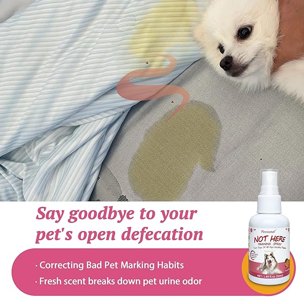 PETSTORAL DOG NOT HERE & HERE POTTY TRAINING SPRAY KIT, PUPPY ESSENTIALS. PEE HERE CORRECTOR SPRAY, PREVENT YOUR PET FROM SOILING THE CARPET. CITRUS AND MINT, 1.69 FL OZ EACHAL