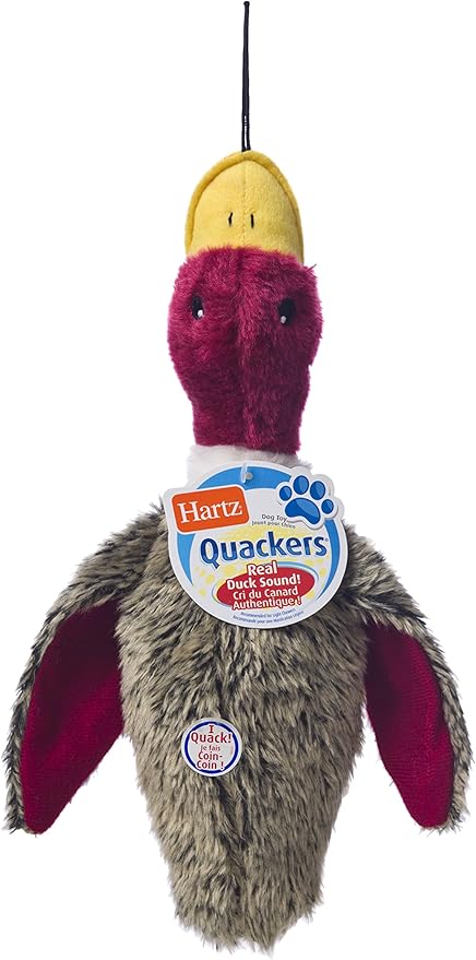 stuffed toy duck that quacks