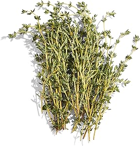 PRODUCE Organic Thyme, 0.5 OZ