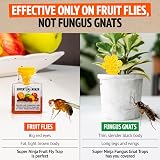 Super Ninja Fruit Fly Trap 2 Pack – Indoor Killer, Safe for Kids & Pets view 7