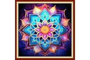 Foxdiviy Stamped Cross Stitch Kits Full Range of Embroidery Needlework Starter Kits for Beginners Adults 11CT Embroidery Patterns Art Crafts DIY Needlepoint Kits-Colorful Mandala 18x18 inch