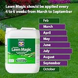 Flower Power Lawn Magic 5L - Double Action Grass Feed for Strong Roots view 3