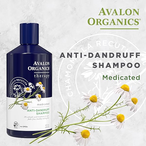 AVALON ORGANICS THERAPY MEDICATED ANTI-DANDRUFF SHAMPOO FOR SOFT, FLAKE-FREE HAIR, 14 FLUID OUNCES