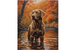 Labrador Retriever Dog Stamped Cross Stitch Kits, Cute Dog Needlepoint Counted Cross Stitch Kits for Beginners Adults Pattern