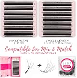 LLBA W Eyelash Extensions 3D D Curl 0.07mm 10mm Fluffy Volume Handmade view 6